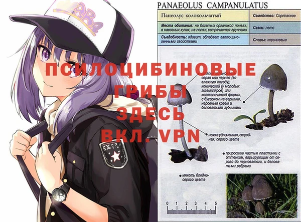 кокаин Майский