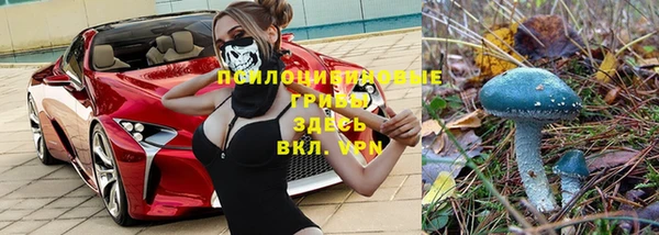 не бодяженный Магадан