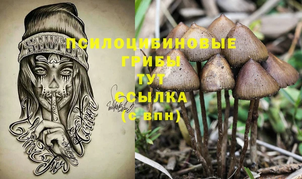 твердый Медногорск