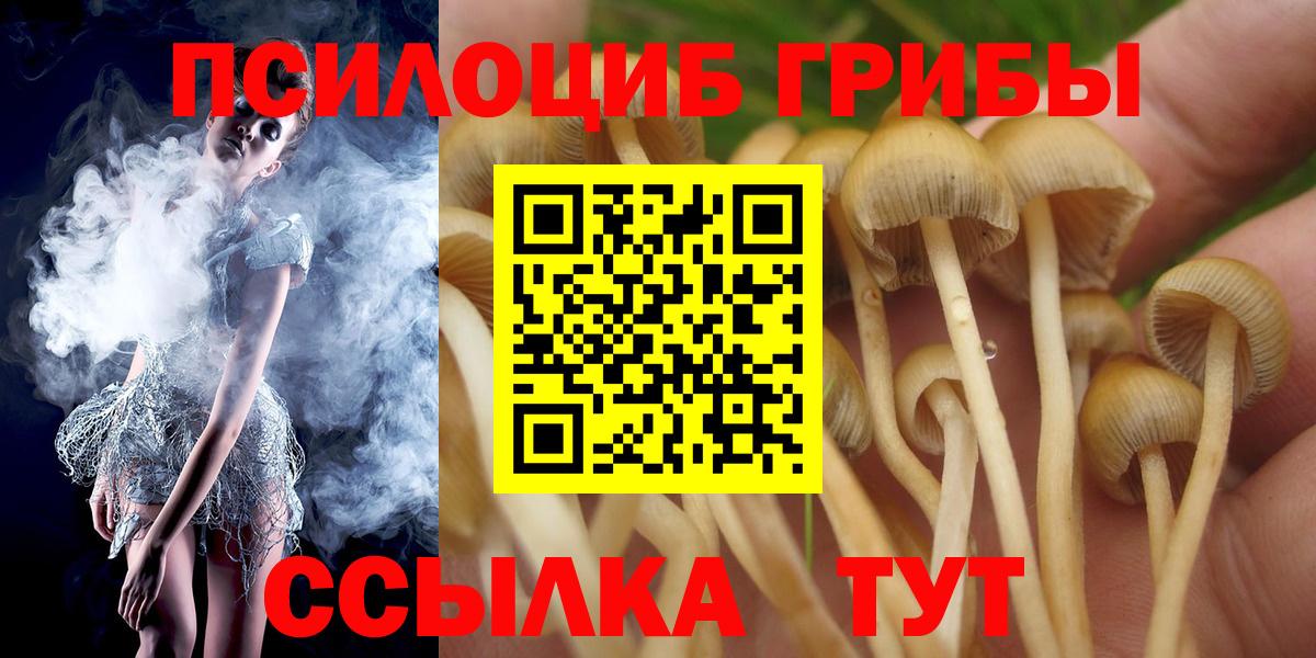 Псилоцибиновые грибы GOLDEN TEACHER  Вход с VPN  Галлюциногенные грибы MAGIC MUSHROOMS  Красногорск 